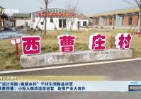 获嘉高端网站建设_(获嘉高端网站建设项目)